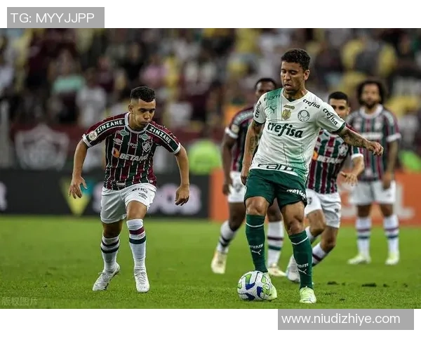 2017年帕梅拉斯与累体育激战回顾精彩瞬间与赛后分析