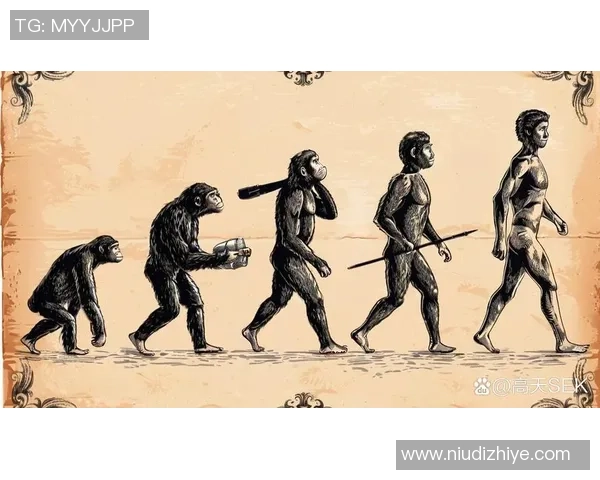 付豪的奋斗故事：从平凡到卓越的成长历程与人生启示