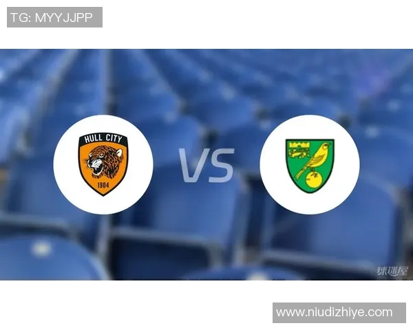 诺维奇对赫尔城比赛结果分析及精彩瞬间回顾 诺维奇对赫尔城比赛结果分析及精彩瞬间回顾