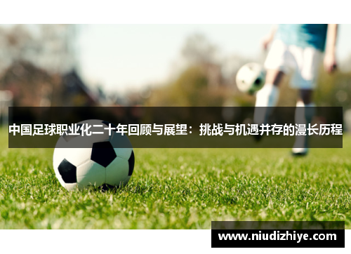 中国足球职业化二十年回顾与展望：挑战与机遇并存的漫长历程