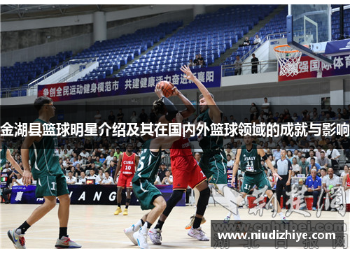 金湖县篮球明星介绍及其在国内外篮球领域的成就与影响
