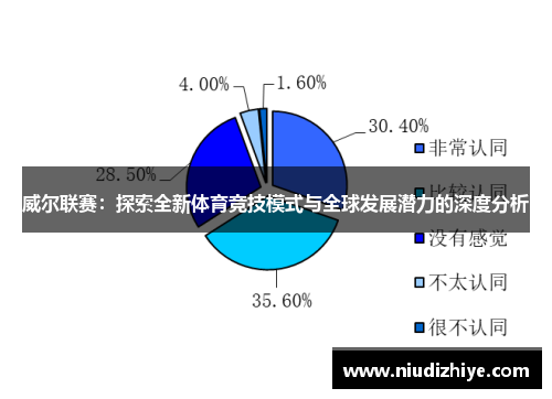 威尔联赛：探索全新体育竞技模式与全球发展潜力的深度分析